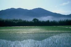 桜川の山々