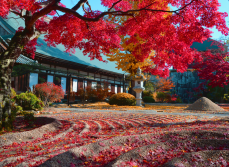 曜光山月山寺