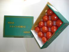 スーパーフルーツトマト　2月～6月