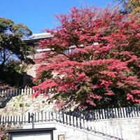 雨引山楽法寺（雨引観音）