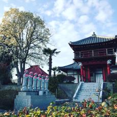 富谷山 大雲寺