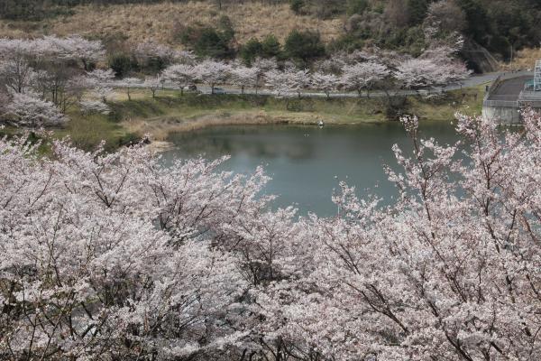 画像:つくし湖