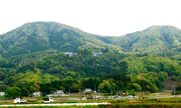 『雨引山』の画像