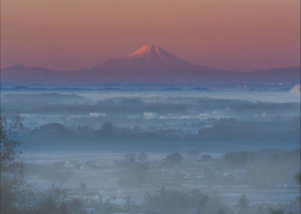 『グランプリ富士山遠望』の画像