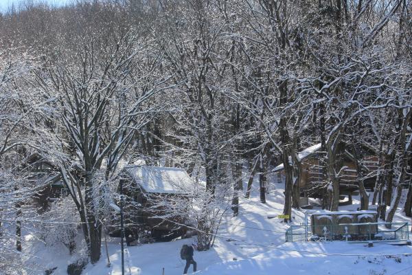 『筑波高原キャンプ場雪景色』の画像