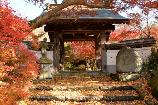 『『薬王寺紅葉門』の画像』の画像