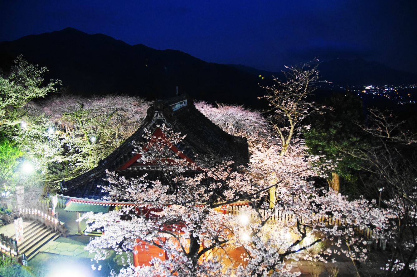 『春の桜川フォトコンテスト　特別賞　満開の時　雨引観音』の画像