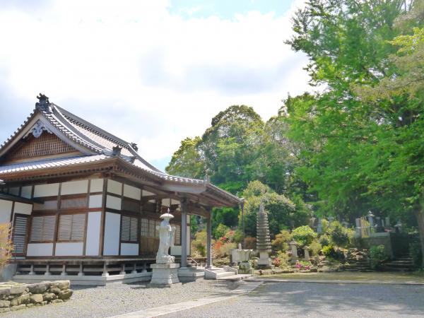 『偏照院正得寺』の画像