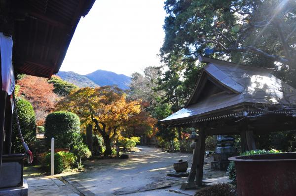 『薬王院　紅葉』の画像