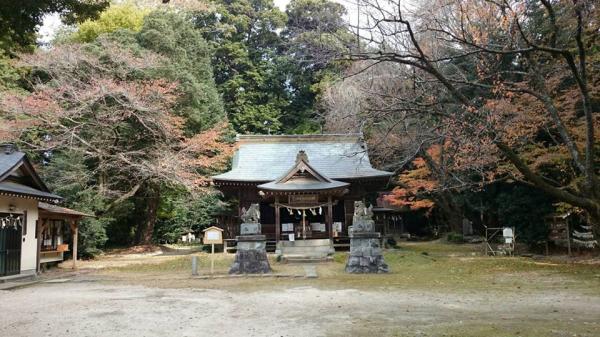 『櫻川磯部稲村神社・紅葉』の画像