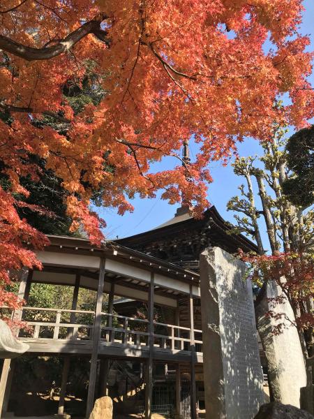 『雨引観音・紅葉』の画像