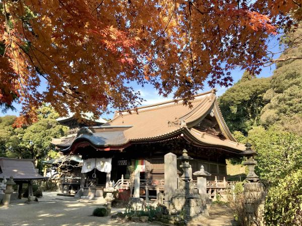 『椎尾山薬王院・紅葉』の画像