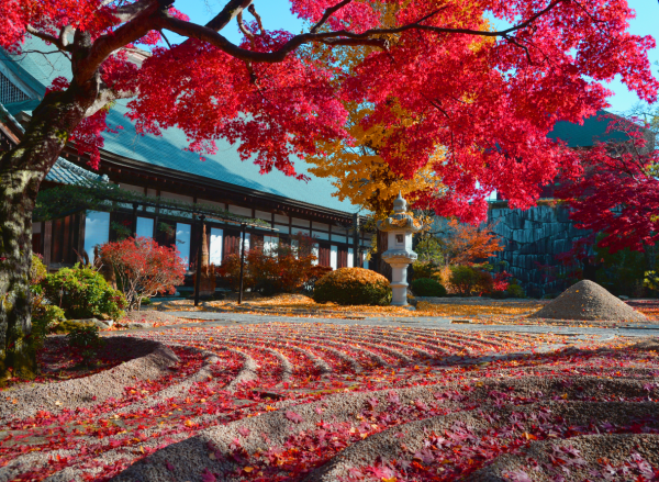 『曜光山月山寺』の画像