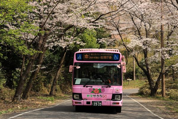 『関鉄パープルバス株式会社』の画像