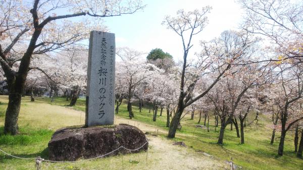 『磯部桜川公園』の画像