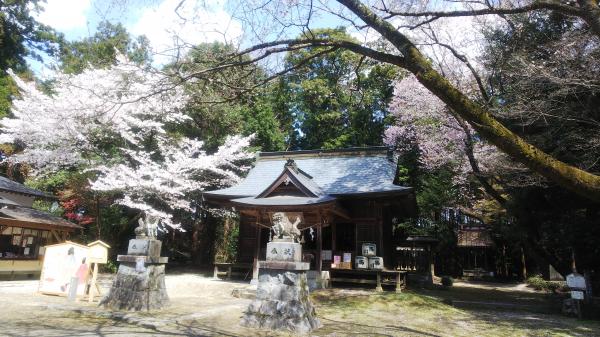 『櫻川磯部稲村神社』の画像