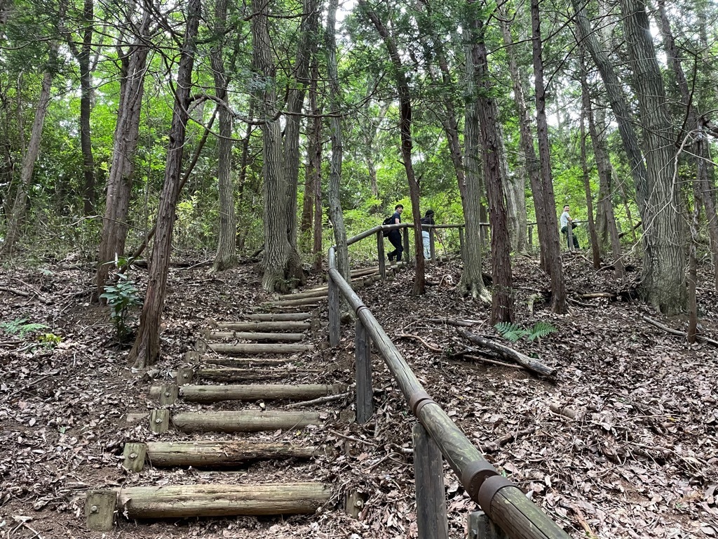 『雨引山入口(7)』の画像