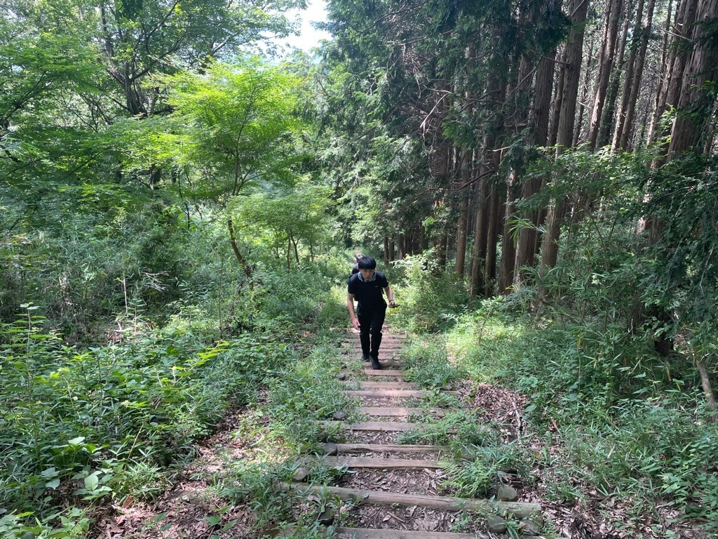 『雨引山頂(2)』の画像