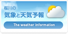 桜川の気象と天気予報